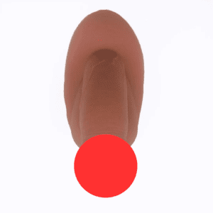 An object appears to be cylindrical and flesh-toned, resembling a soft packer.. The bottom part of the object is obscured by a red circle, which is centrally placed on the image. The background is white.