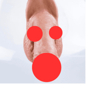 A close-up of a realistic, soft packer shows its texture and surface in detail, with vibrant pink and red hues. A precisely customized packer, it features distinct features against a softly blurred background, accentuating its focus. It includes 3 red circles for modesty.