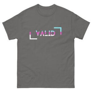 A gray unisex t-shirt featuring "VALID" in bold all-caps, partially upside down with white, pink, and blue accents, stylized in bracket-like shapes for a modern twist on a classic tee.