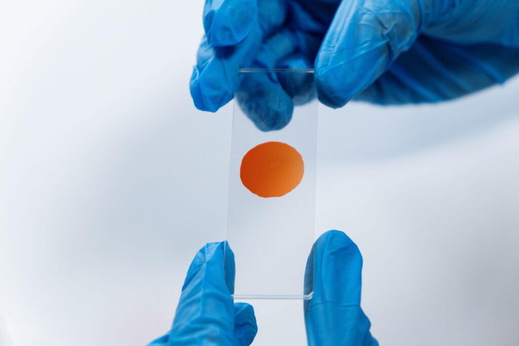 pexels-photo-5721679-5721679 Close-up of hands in gloves holding a glass microscope slide with a sample in a laboratory setting.